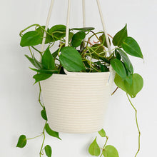 Load image into Gallery viewer, Mia Melange Hanging Planter Small – Ivory
